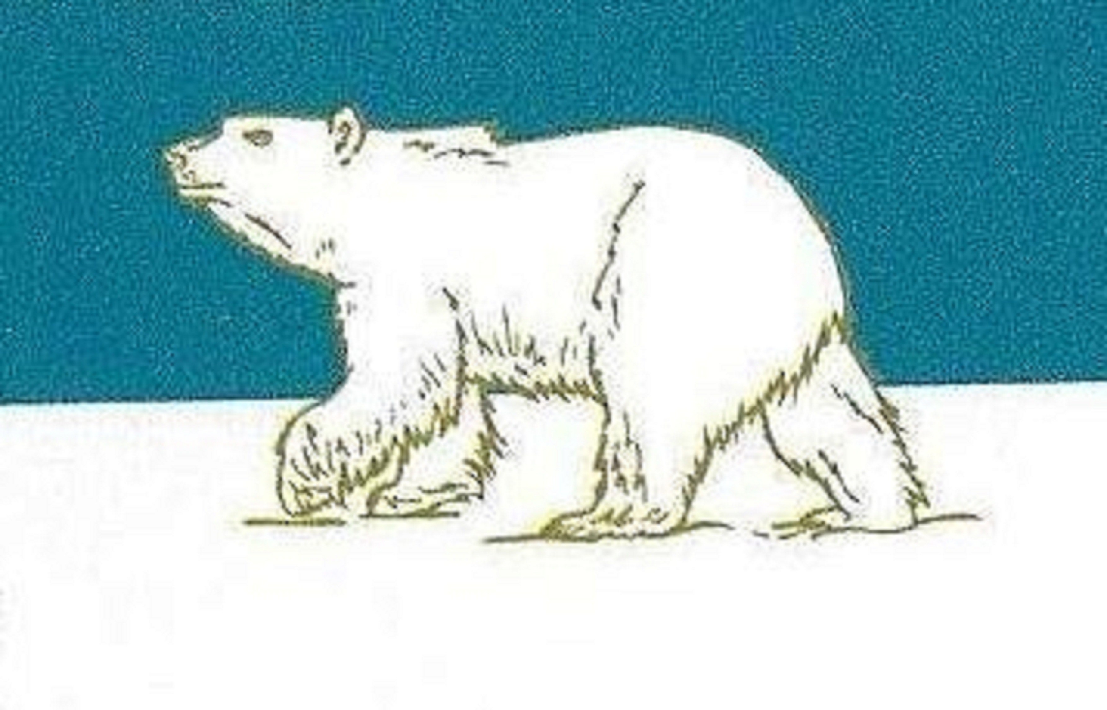 Arctic Air Heating & Cooling LLC logo