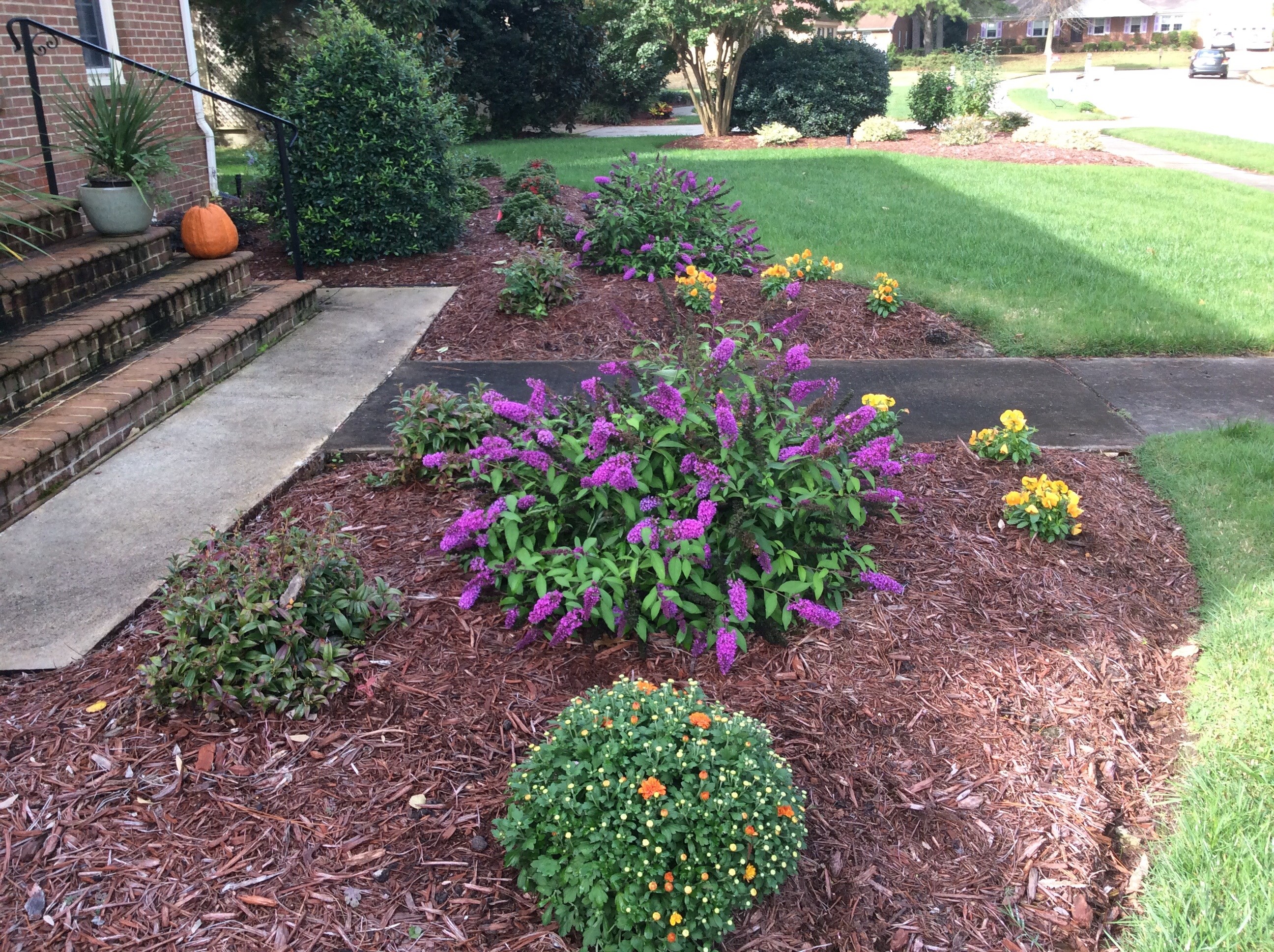 Dream Designs landscaping, irrigation , etc logo