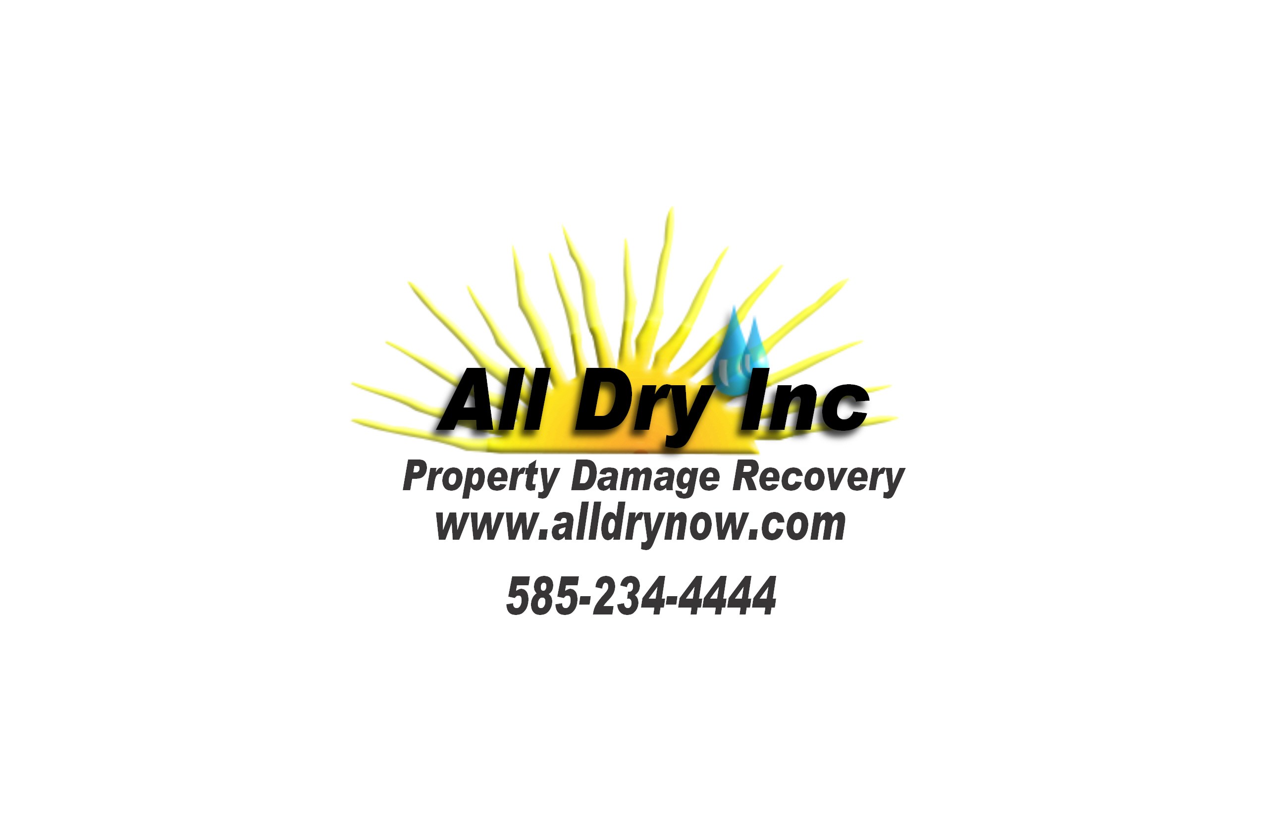 Logo for All Dry Inc