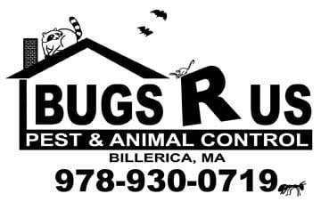 Avatar for Bugs R Us