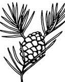 Green Tree Arboriculture LLC logo