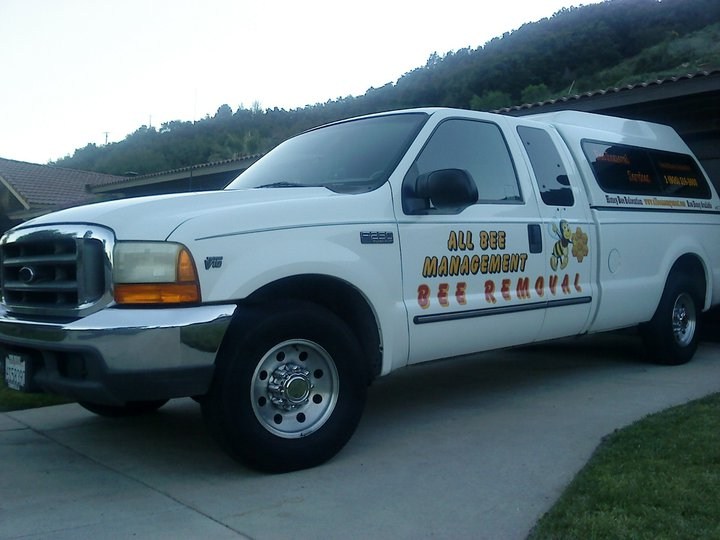 All Bee Management/Bee Removal logo