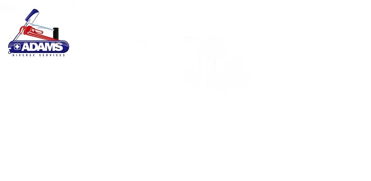 Adams Diverse Services logo