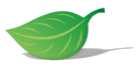 Green Cleaning logo