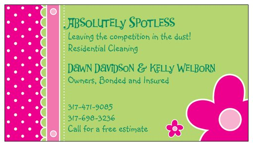Absolutely Spotless logo