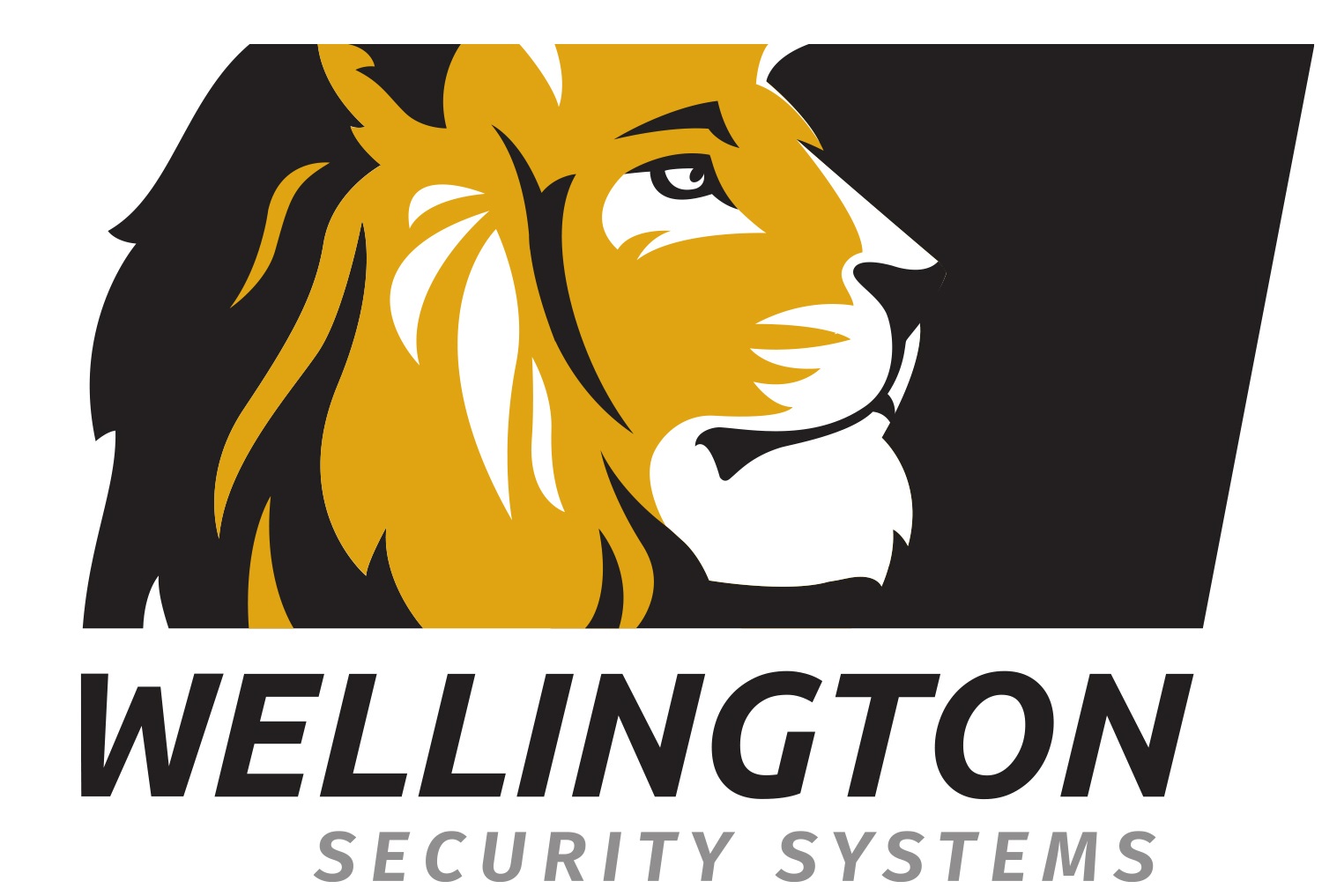 Wellington Security Systems logo