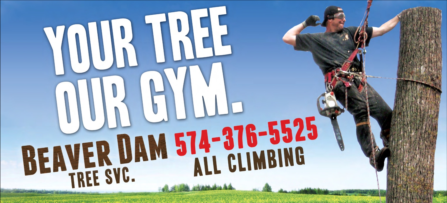Logo for Beaver Dam Tree Service