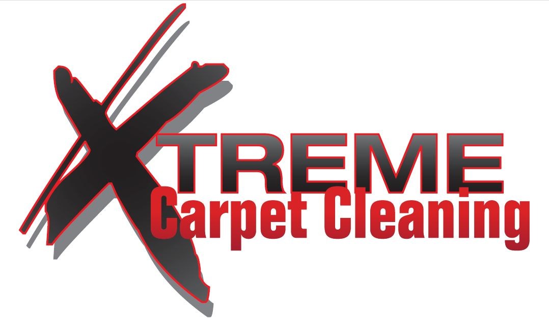 Avatar for Xtreme Carpet Cleaning