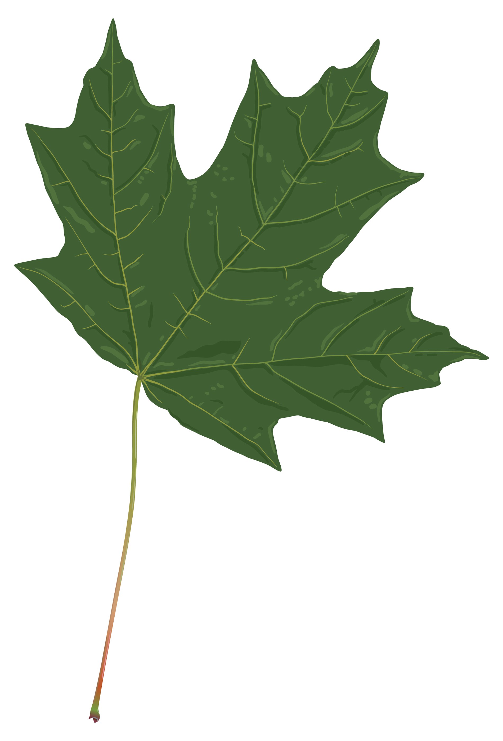 New Leaf Tree Care, LLC logo