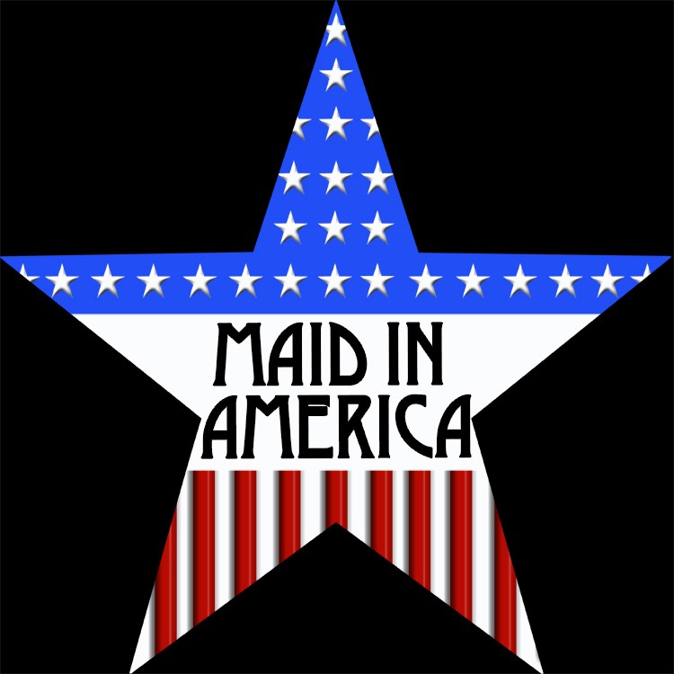 Maid in America-DFW logo