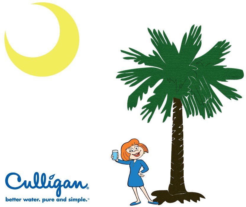 Culligan Water Conditioning of The Low Country logo