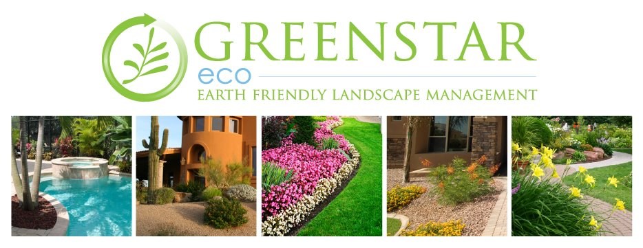 Greenstar ECO logo