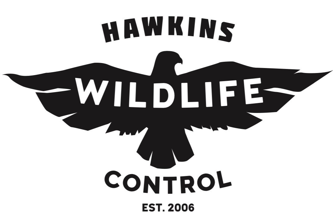 Hawkins Wildlife Control LLC logo