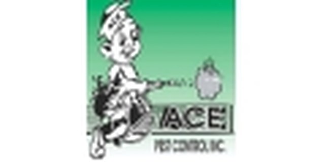 Logo for Ace Pest Control