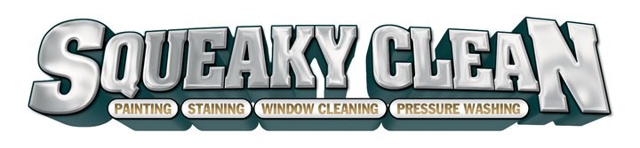 Logo for Squeaky Clean