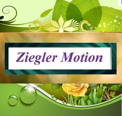 Ziegler Motion logo