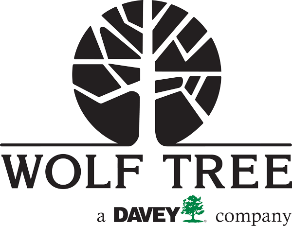 Wolf Tree Inc. logo