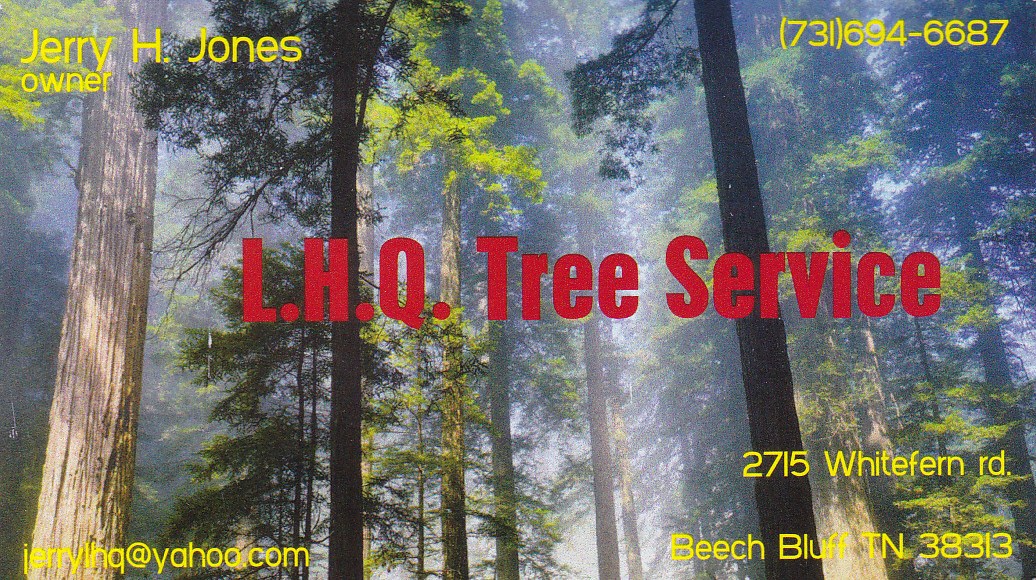 Avatar for LHQ Tree Service