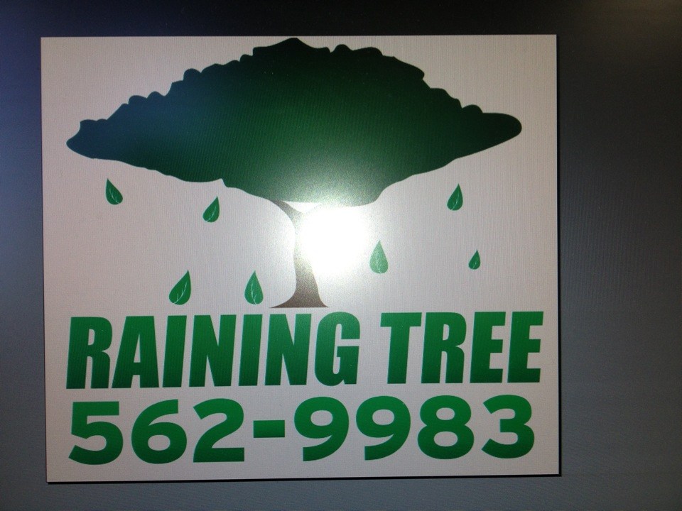 Raining Tree logo