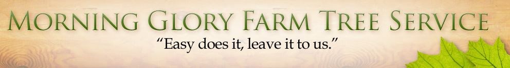 Avatar for Morning Glory Farms