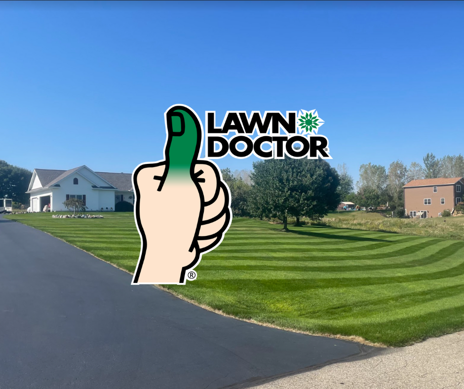 Logo for Lawn Doctor