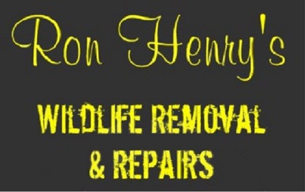 Ron Henry's Wildlife Removal & Repairs logo
