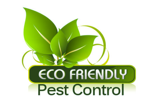 Ladybug Pest Control logo