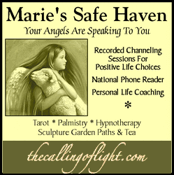 Logo for Maries Safe Haven - Ann Marie ODell