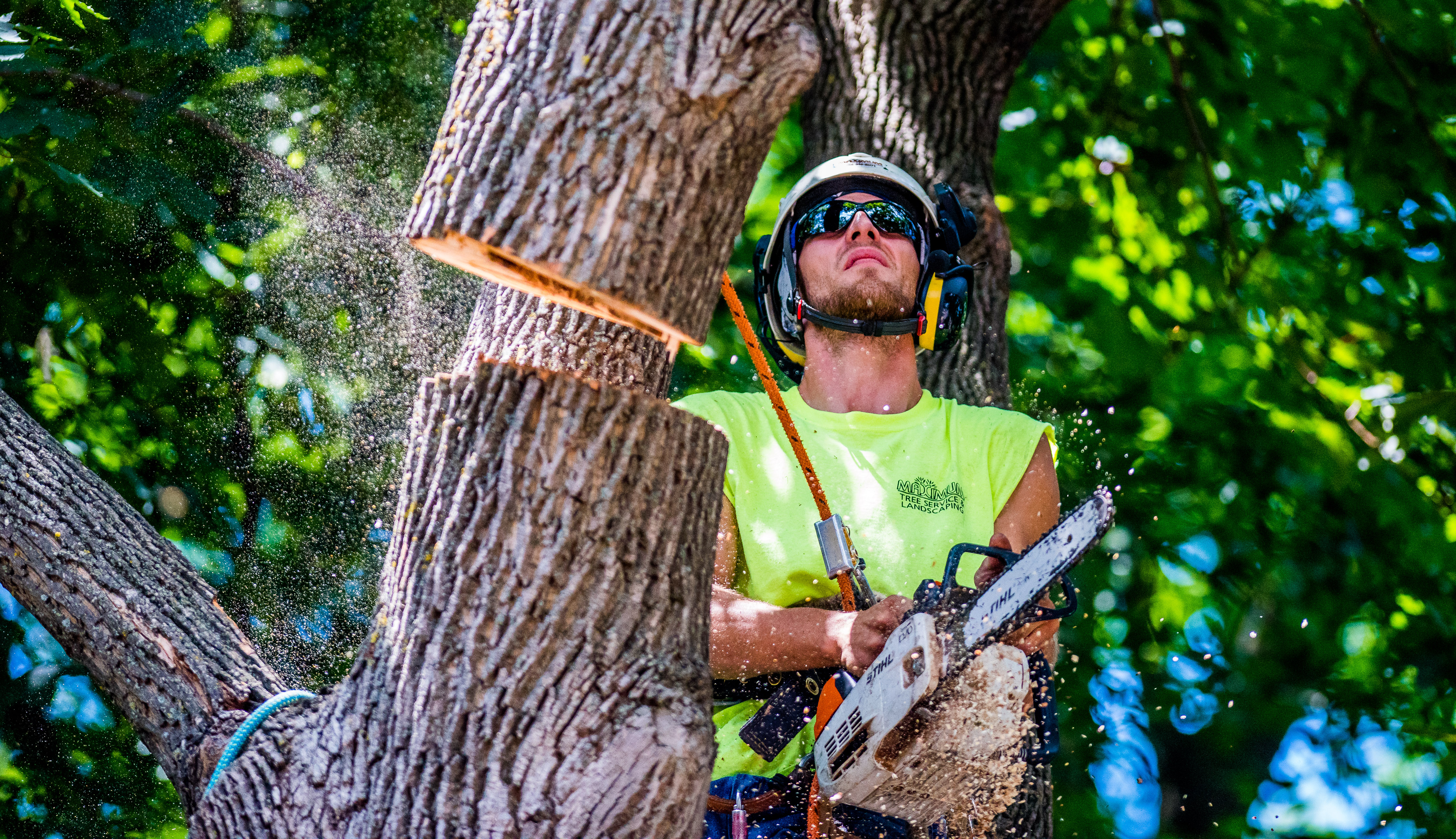 Maximum Tree Service and Landscaping logo