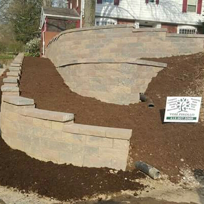 Avatar for Tom Pirollo Landscaping
