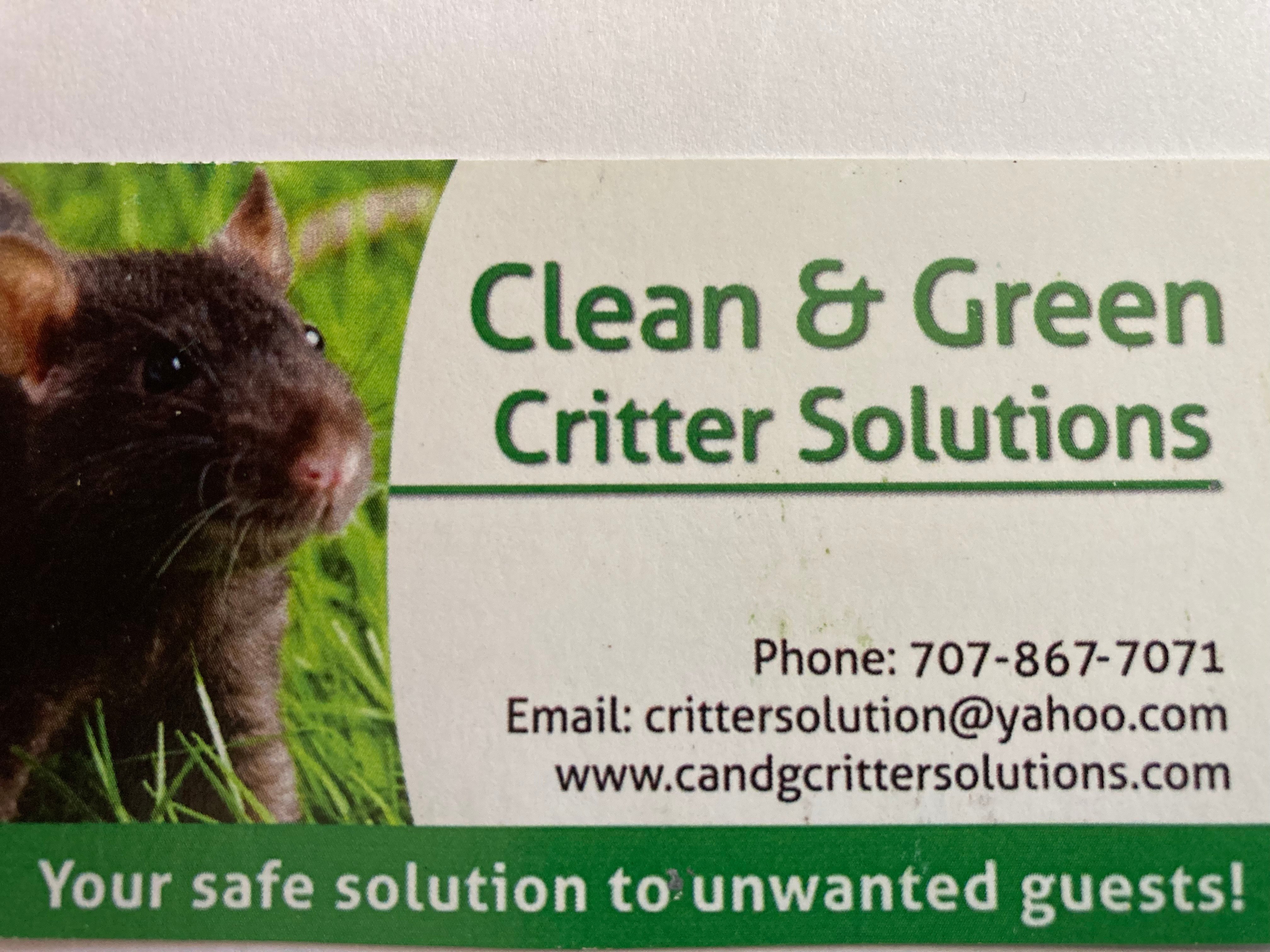 Clean & Green Critter Solutions logo