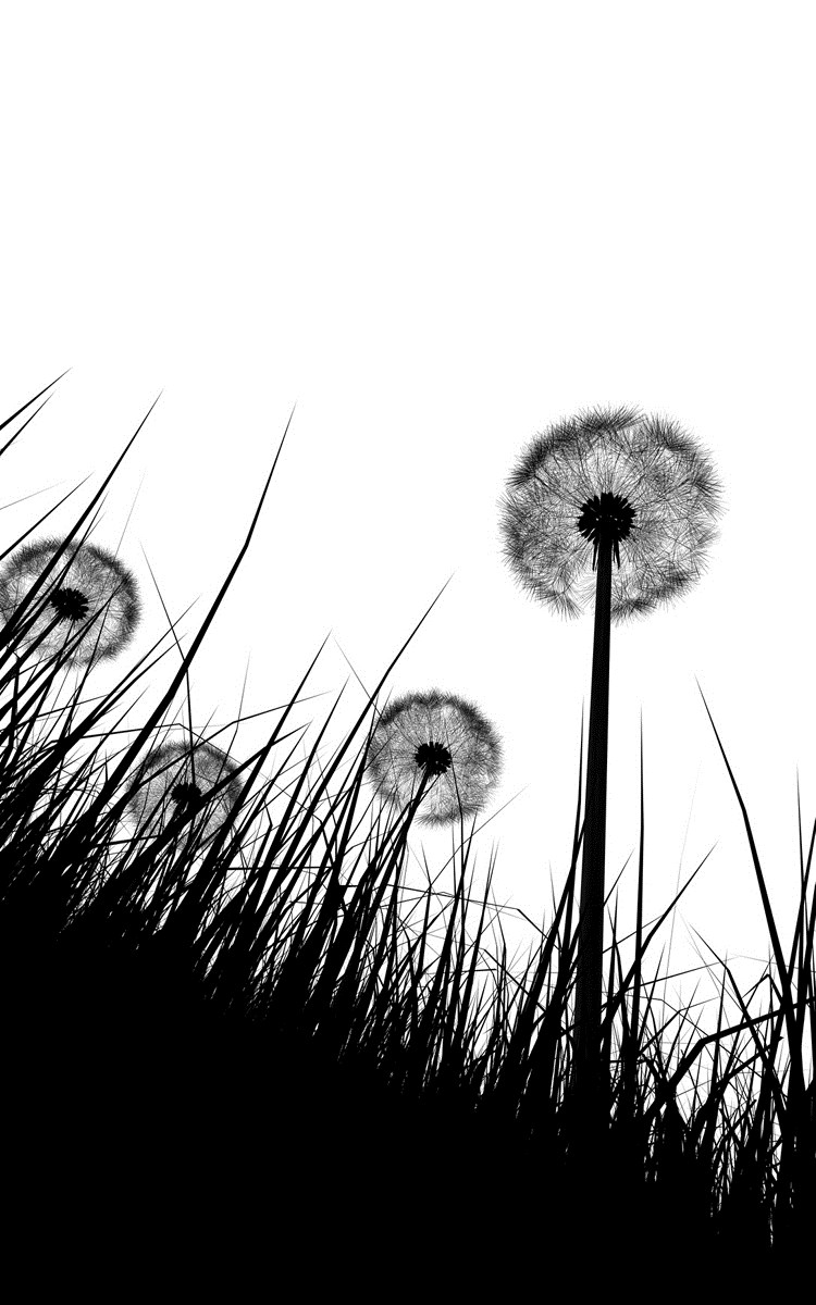 Dandelion Services, Inc. logo