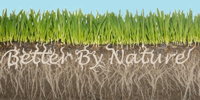 Better By Nature Lawn Care logo