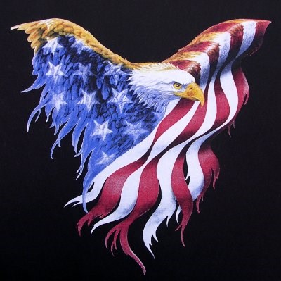 Logo for American Pressure Washing