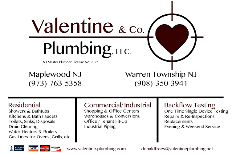 Valentine & Co Plumbing, LLC logo