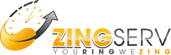 Avatar for ZingServ