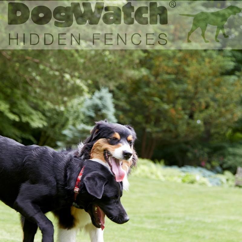 Avatar for Dogwatch Of The Twin Cities