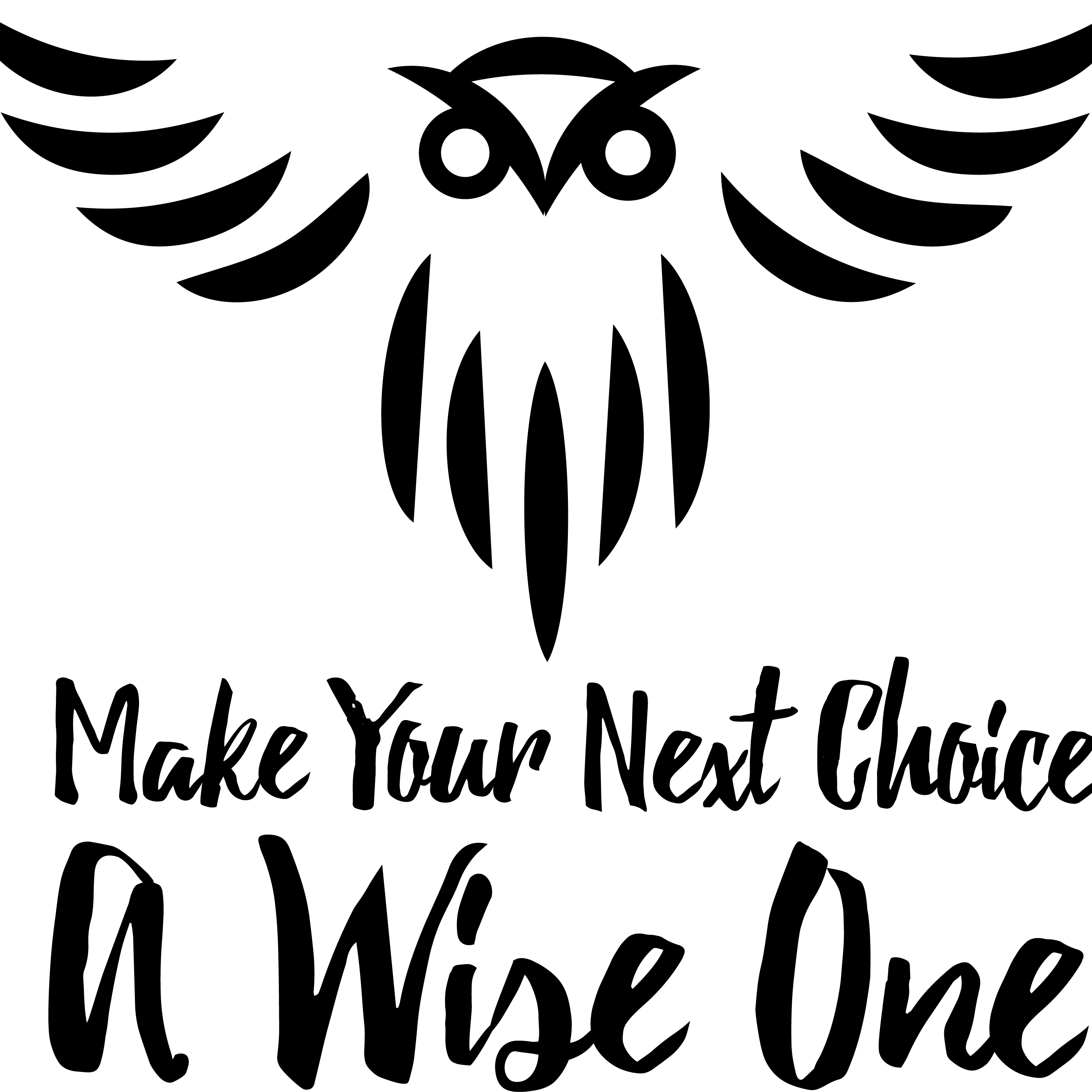 Wise Choice Home Solutions logo