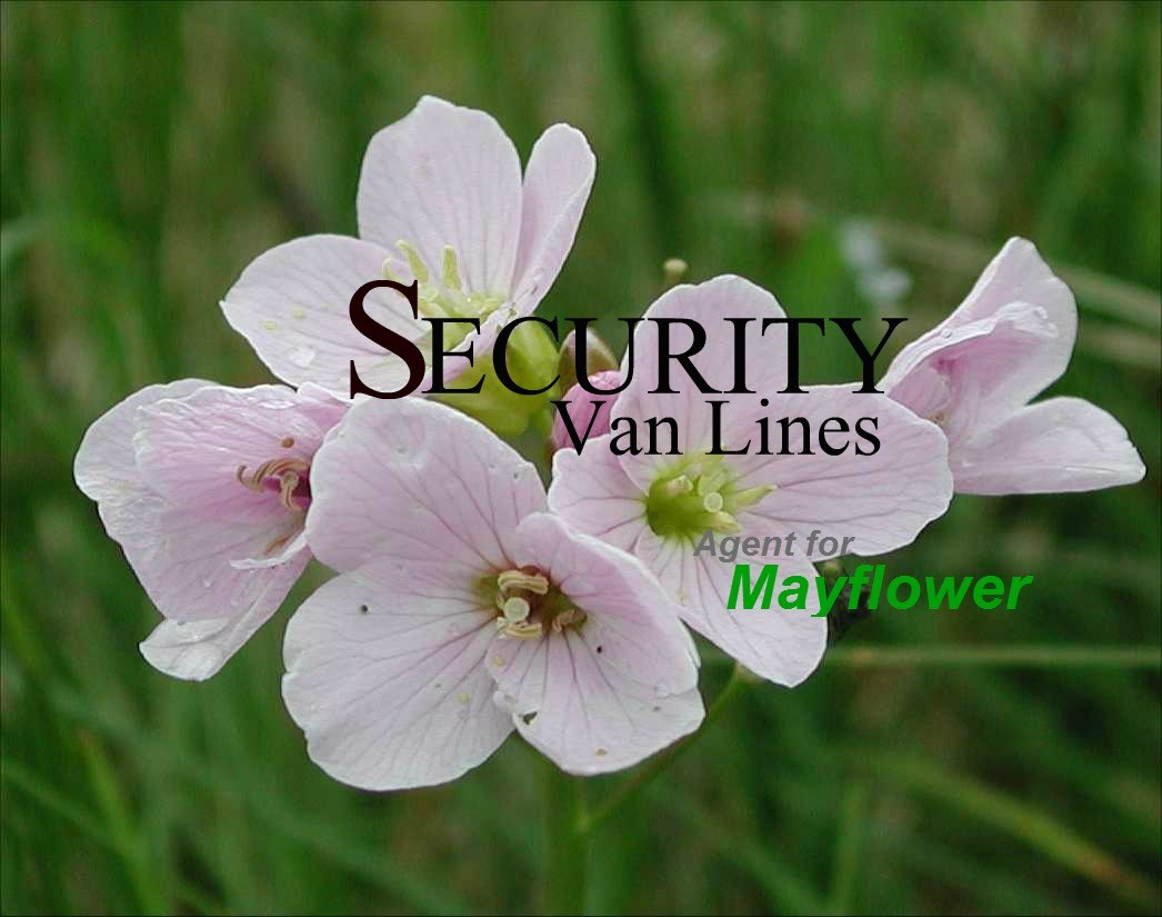 Security Van Lines, Agent for Mayflower logo