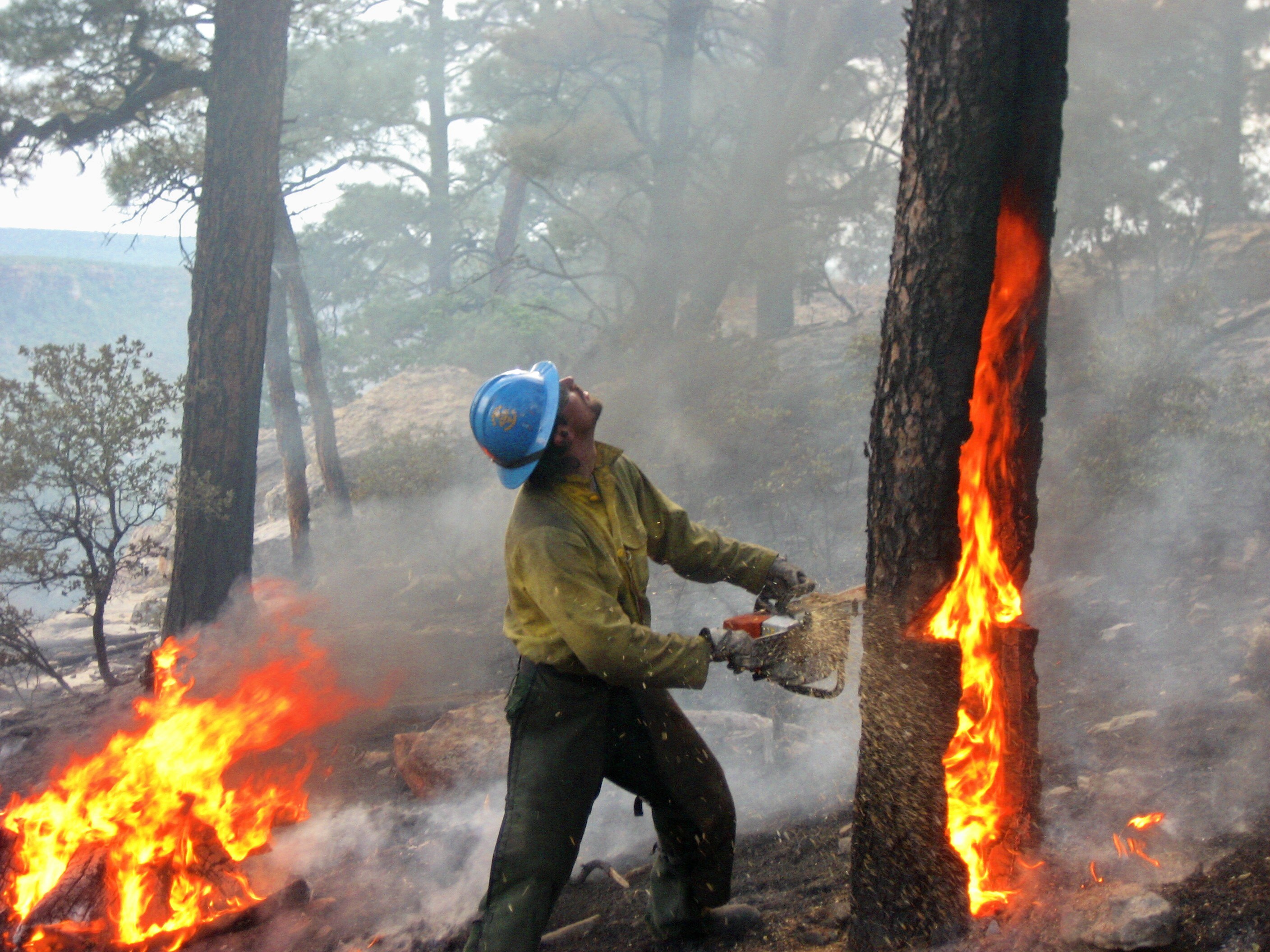Elwyn Wildfire LLC logo
