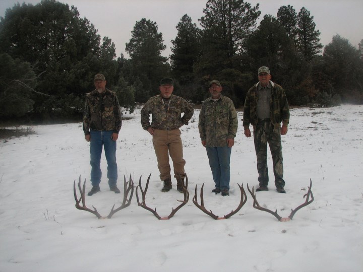 Hodiak Wildlife Solutions LLC logo