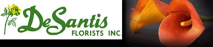 DESANTIS FLORISTS & GIFTS logo
