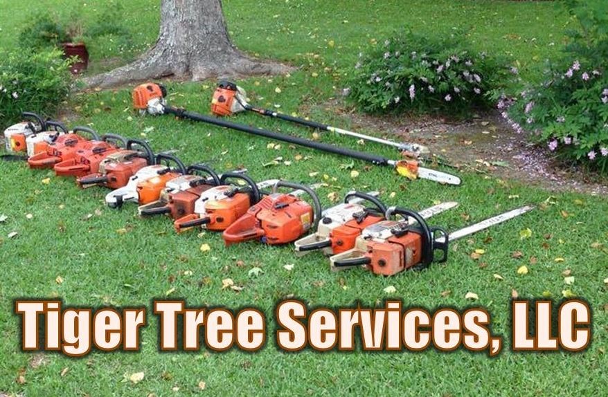 Avatar for Tiger Tree Services