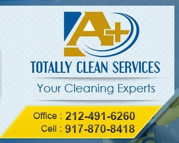 A+ Totally Clean Services logo