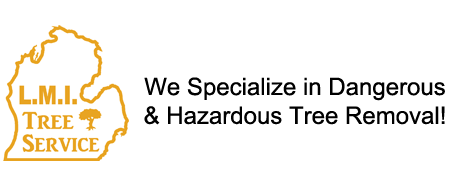 Avatar for LMI Tree Services Inc