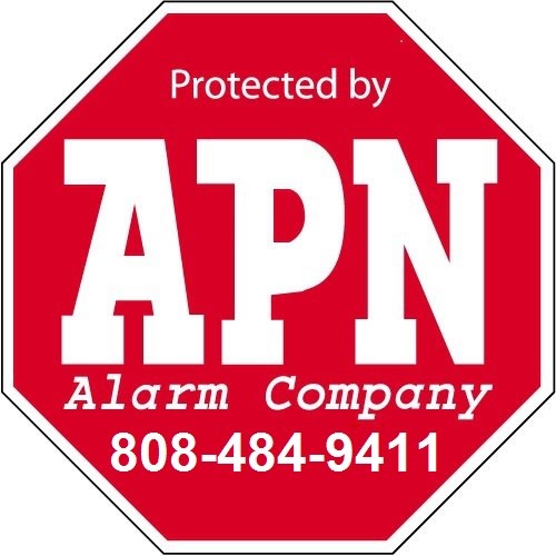 APN Alarm Co logo