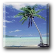 J-U-Computers logo