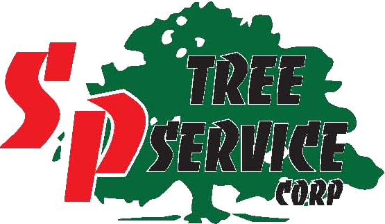 Avatar for S & P Tree Service Corp