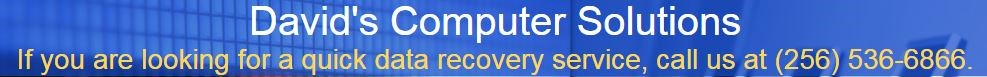 Davids Computer Solutions logo