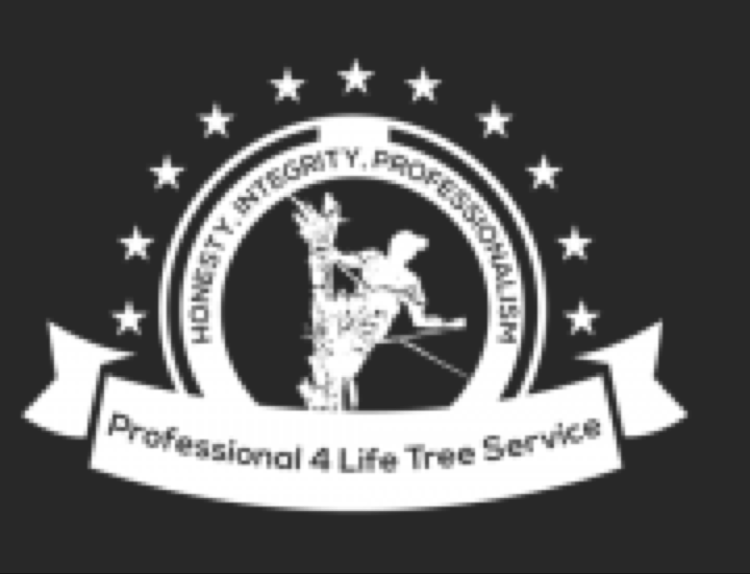 Avatar for Professional 4 Life Enterprises